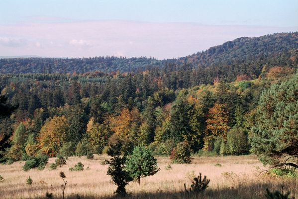 Bardejov, 2.10.2004
Pohled od Ostré hôrky lesy v okolí Kúpeľného potoka.

