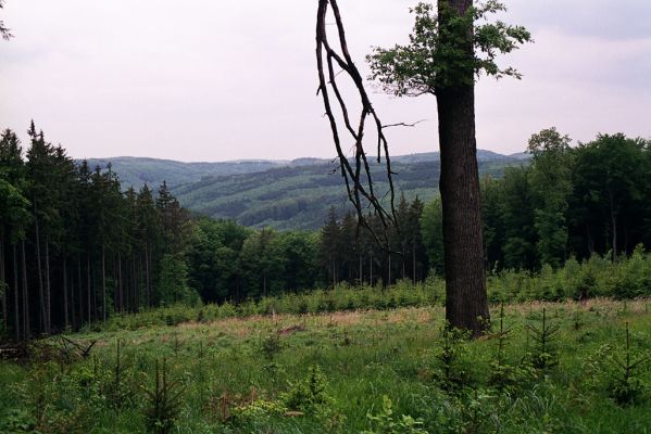 Břestek, 18.5.2004
Pohled z Komínku na sever.
Klíčová slova: Břestek vrch Komínek Chřiby