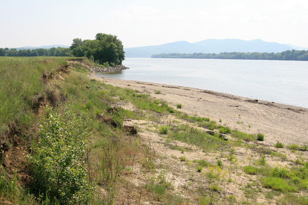 Chľaba, 5.6.2014
Břeh Dunaje před soutokem s Ipľa.
Mots-clés: Chľaba soutok Dunaj Ipeľ