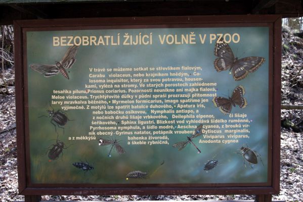 Chomutov, 26.3.2012
Informační tabule v Zooparku.
Klíčová slova: Krušné hory Chomutov Zoopark
