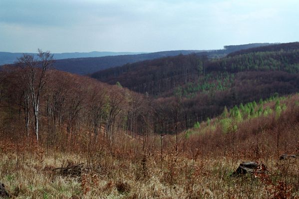 Lovčice, 19.4.2004
Ždánický les, výhled z hřbetu U Slepice


Keywords: Lovčice Ždánický les U Slepice
