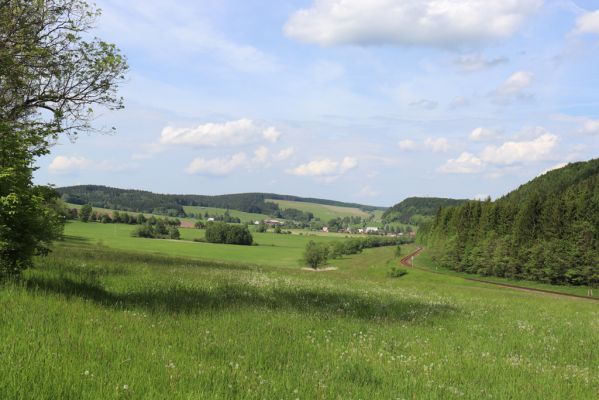 Horní Adršpach, 1.6.2019
Pohled na Horní Adršpach od Hodkovic.
Klíčová slova: Horní Adršpach