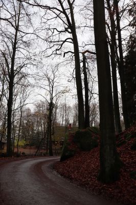 Hrubá Skála, 18.11.2020
Listnatý les západně od zámku.
Schlüsselwörter: Hrubá Skála les u zámku