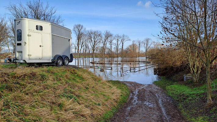 Němčice, 27.12.2023
Zimní záplava na pastvinách.
Schlüsselwörter: Němčice Labe povodeň