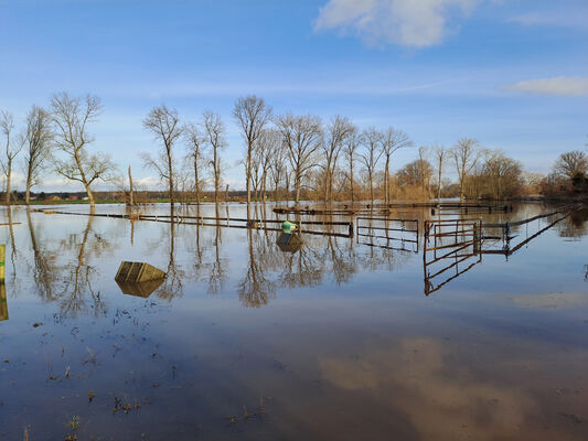 Němčice, 27.12.2023
Zimní záplava na pastvinách.
Keywords: Němčice Labe povodeň
