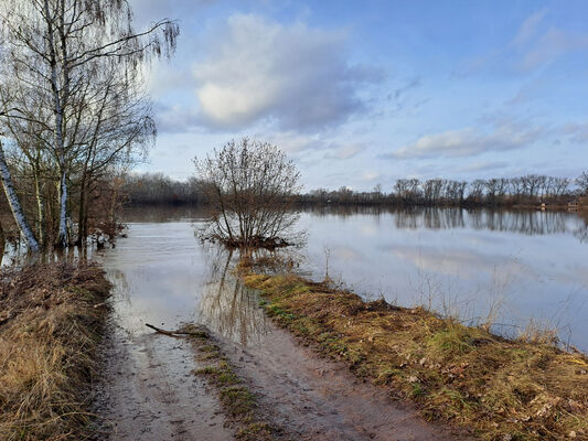 Němčice, 27.12.2023
Zimní záplava z mostu.
Schlüsselwörter: Němčice Labe povodeň