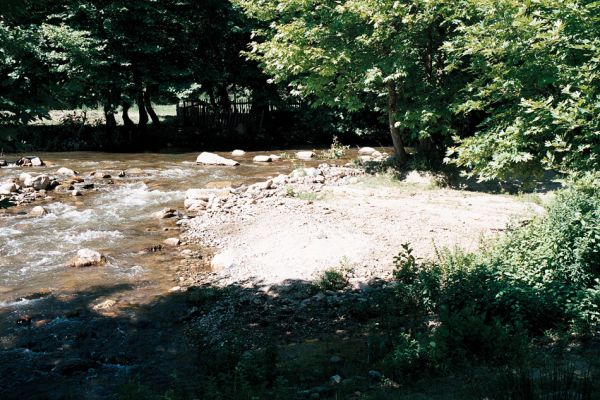Lebnica, 5.6.2006
Štěrkové náplavy říčky Lebnice.



Schlüsselwörter: Lebnica Lebnica river Zorochros alysidotus meridionalis