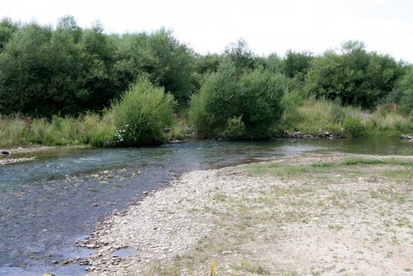 Liesek, 2.8.2013
Štěrkové náplavy v meandrech řeky Oravice západně od obce.



Keywords: Liesek Oravica Zorochros dermestoides