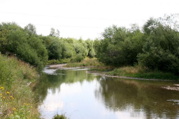 Liesek, 2.8.2013
Štěrkové náplavy v meandrech řeky Oravice západně od obce.

Keywords: Liesek Oravica Zorochros dermestoides