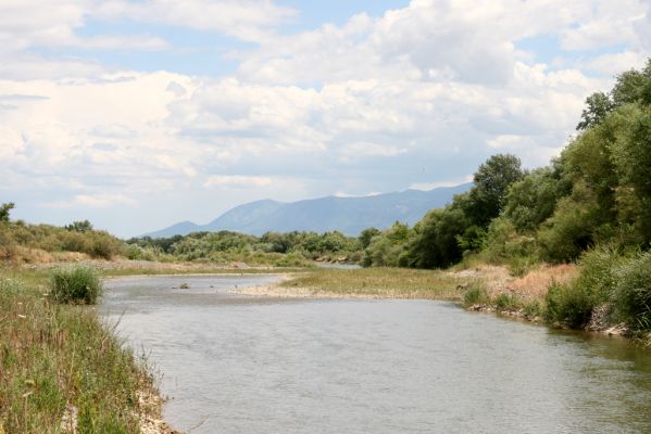 Loutra Ipatis, 31.5.2014
Štěrkové náplavy řeky Spercheios. 


Keywords: Loutra Ipatis Spercheios river