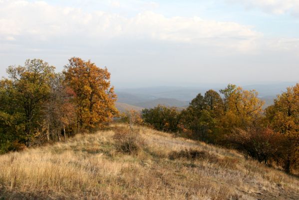Lysec, 12.10.2013
Lesostep na jihovýchodním hřbetu pod vrcholem Lysce.



Schlüsselwörter: Luboreč Krupinská planina Ostrožky Lysec