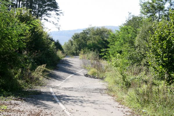 Miňovce - Breznica, 18.9.2014
Takhle to vypadá, když se do Ondavy sesune část kopce (vrch Baranov).



Mots-clés: Miňovce Breznica řeka Ondava