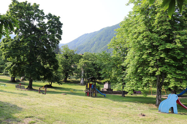 Montecreto, 16.6.2023
Parco del Castangi.
Klíčová slova: Emilia-Romagna Montecreto Parco del Castangi Ampedus cardinalis Brachygonus campadellii