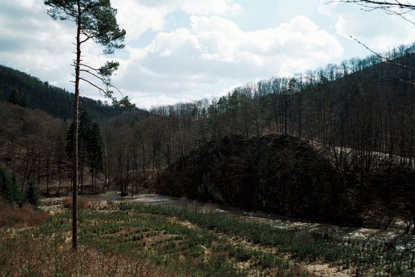 Vranov, 4.4.2006
Smrková plantáž v údolí Svitavy pod Starým hradem.


Schlüsselwörter: Vranov Svitava