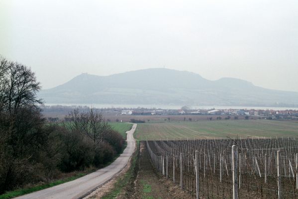 Strachotín, 1.4.2004
Pohled od Popic na Pavlovské vrchy.
Mots-clés: Strachotín Pavlovské vrchy Pálava
