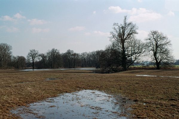Opatovice-Polabiny,21.3.2005
Voda z jarních záplav jen pozvolna opadá 
Schlüsselwörter: Opatovice Polabiny záplavy