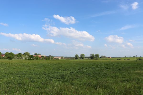 Praskačka, 18.5.2019
Sedlice, pohled na pastviny.
Keywords: Praskačka, Sedlice pastvina