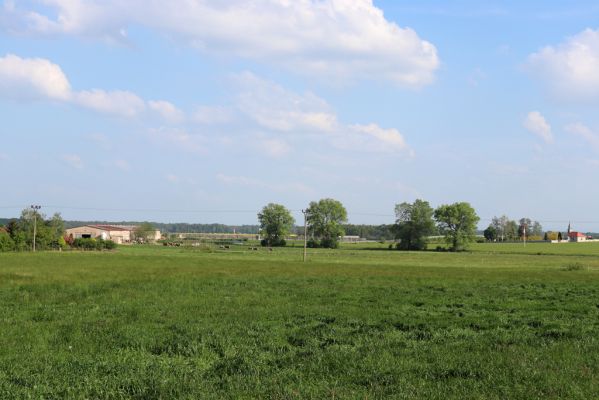 Praskačka, 18.5.2019
Sedlice, pohled na pastviny.
Klíčová slova: Praskačka, Sedlice pastvina