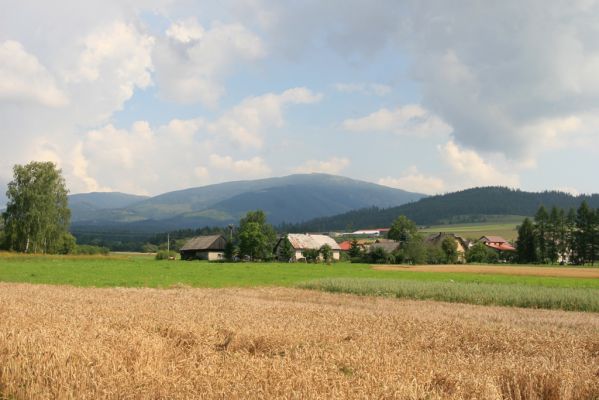 Rabčice, 29.7.2018
Pohled na Babiu horu.
Schlüsselwörter: Orava Rabčice Babia hora