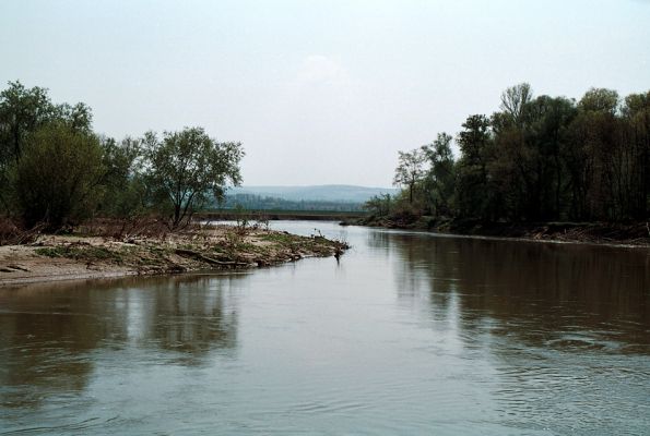 Rohatec, řeka Morava, 26.4.2006
Písčité a hlinité náplavy na březích meandru Moravy.
Klíčová slova: Rohatec Morava
