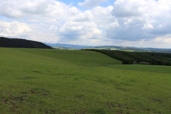 Teplice nad Metují, 1.6.2019
Skály - pastvina.
Schlüsselwörter: Teplice nad Metují Skály pastvina