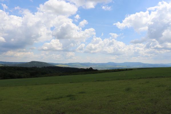 Teplice nad Metují, 1.6.2019
Skály - pohled na jihovýchod.
Klíčová slova: Teplice nad Metují Skály pastvina