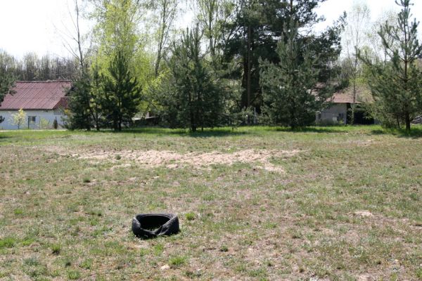 Bohumileč, Zástava, 21.4.2011
Zachovalá písčina s kostřavami v centru obc - víceúčelový zábavní areál.
Klíčová slova: Rokytno Bohumileč Zástava