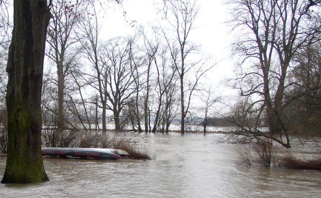 Povodeň na Labi u obce Borek, březen 2006
Keywords: povodeň Borek