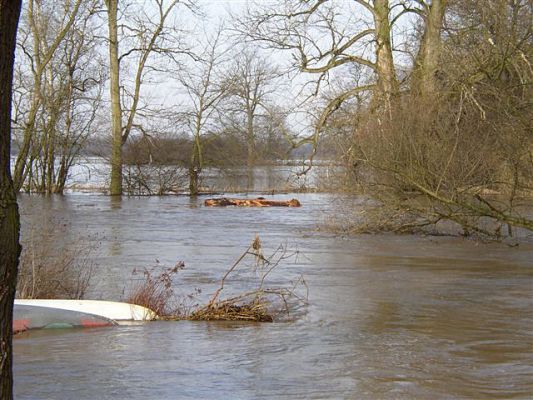 Povodeň na Labi u obce Borek, březen 2006
Taková je už voda, někomu vezme - jinému dá
Klíčová slova: povodeň Borek