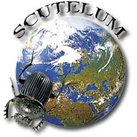 Scutelum