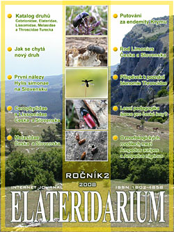 ELATERIDARIUM