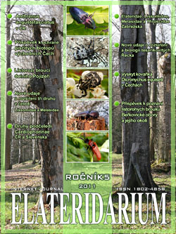 Elateridarium 2011