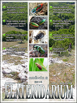Elateridarium 2012