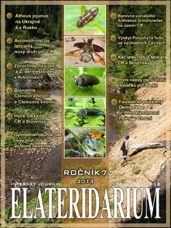 Elateridarium 2013