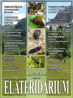 Elateridarium 2014