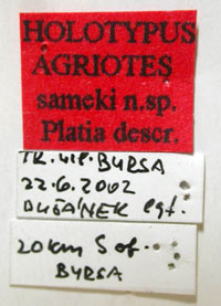 Type