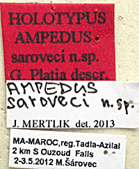 Type