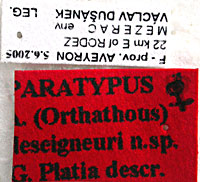 Type