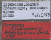 Type