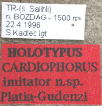 Type