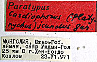 Type
