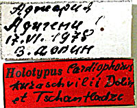 Type