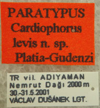 Type