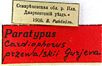 Type