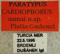 Type