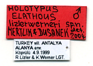 Type
