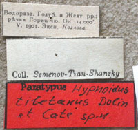 Type
