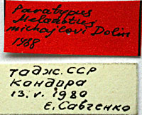 Type