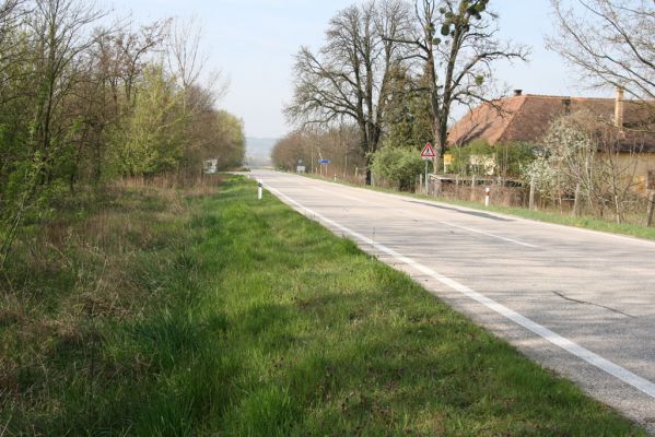 Mužla, Čenkov, 3.4.2014
Osada Čenkov. Na travinách v příkopu u silnice byli nalezeni kovaříci Cidnopus rusenae a Agriotes sputator.



Schlüsselwörter: Mužla Čenkov Cidnopus rusenae Agriotes sputator