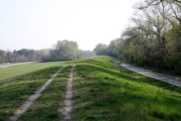 Mužla, Čenkov, 3.4.2014
Hráz u Dunaje.
Schlüsselwörter: Mužla Čenkov